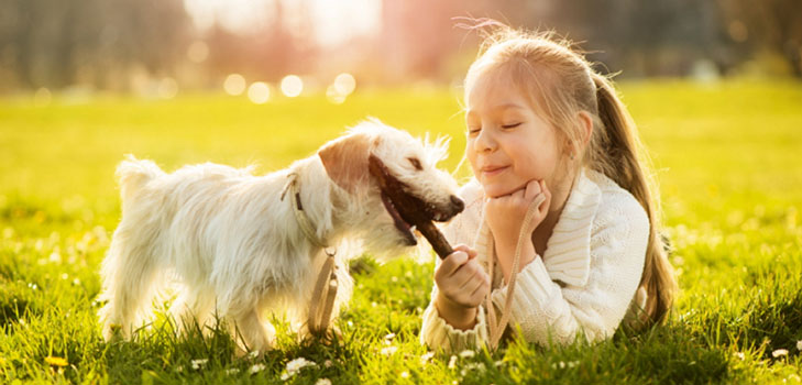 La alegría de los niños: cuatro razones para tener una mascota