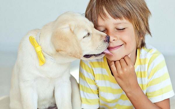 La alegría de los niños: cuatro razones para tener una mascota