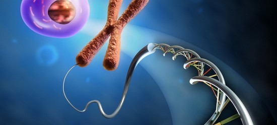 Cónyuges cariotipados, o Cómo planificar el nacimiento de un bebé saludable