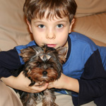 Cuidado del perro ¿Cómo atraer a un niño? Cuidado del perro ¿Cómo atraer a un niño?