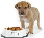 Que alimentar a un perro? Que alimentar a un perro?