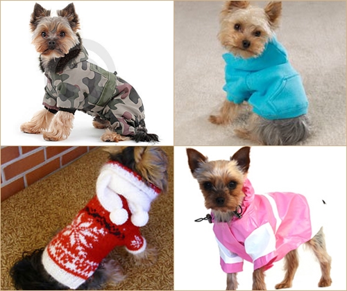 Vestido Pet para el invierno: Ropa para York