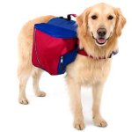 Mochila para un perro Mochila para un perro