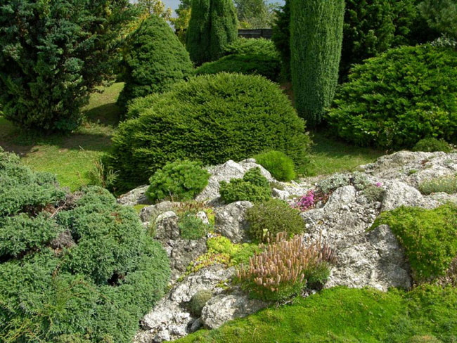 Jardín de rocas en su sitio