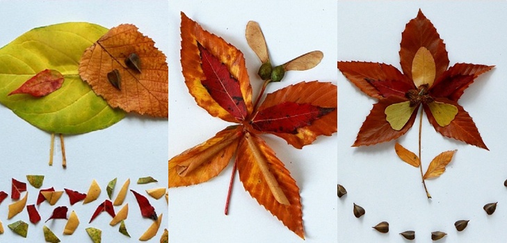 Apliques de otoño para jardín de infantes y 1-2 clases de colegio, clases magistrales con fotografía y video