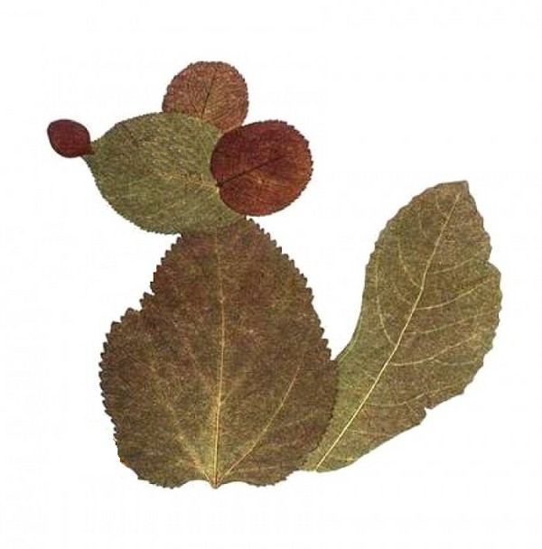 Apliques de otoño para jardín de infantes y 1-2 clases de colegio, clases magistrales con fotografía y video