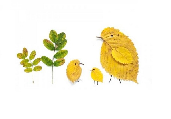Apliques de otoño para jardín de infantes y 1-2 clases de colegio, clases magistrales con fotografía y video