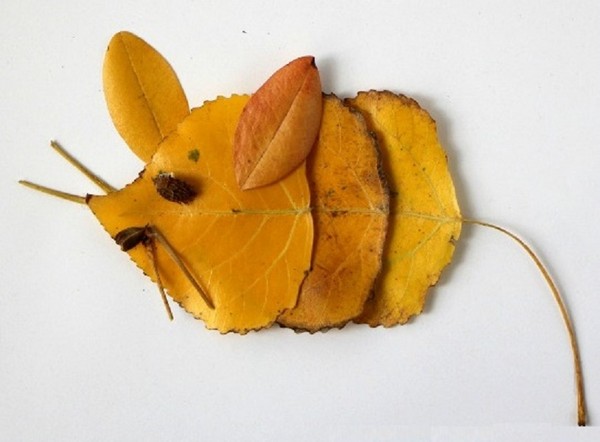 Apliques de otoño para jardín de infantes y 1-2 clases de colegio, clases magistrales con fotografía y video