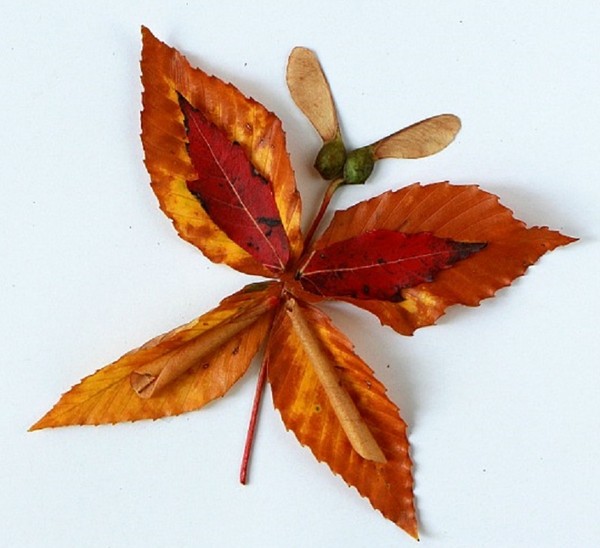 Apliques de otoño para jardín de infantes y 1-2 clases de colegio, clases magistrales con fotografía y video