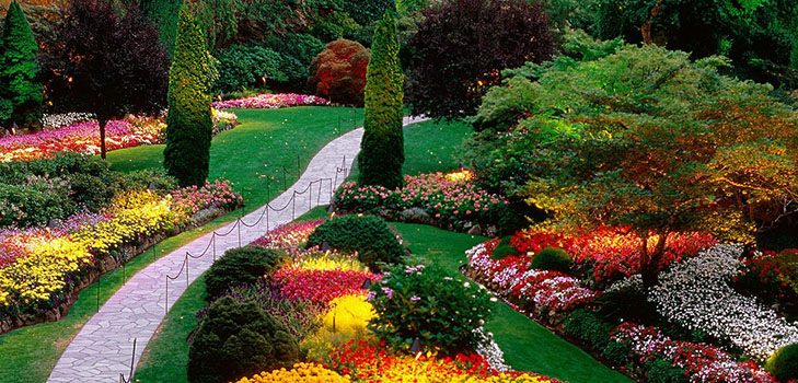 Hermosas flores para una cama de flores