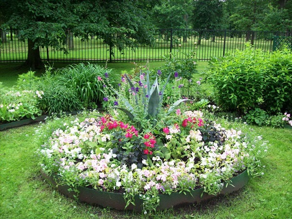 Hermosas flores para una cama de flores