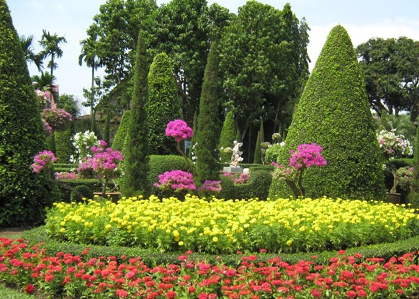 Hermosas flores para una cama de flores