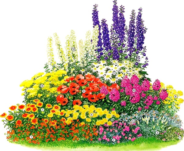 Hermosas flores para una cama de flores