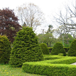 Árboles y arbustos Árboles y arbustos