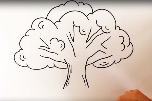 Dibujando el tema "Otoño": clases magistrales con lápices y pinturas para el jardín de infantes y la escuela 1-5 clases