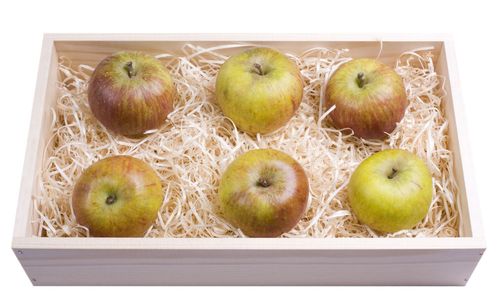 Cómo mantener las manzanas en invierno en casa