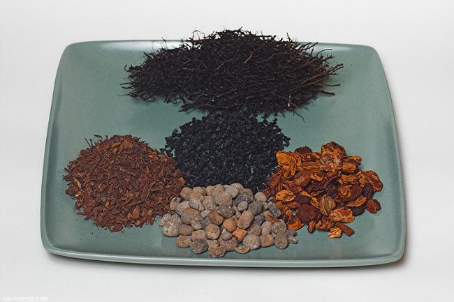 Suelo para orquídeas Suelo para orquídeas