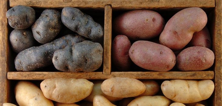 Cómo guardar las papas en invierno
