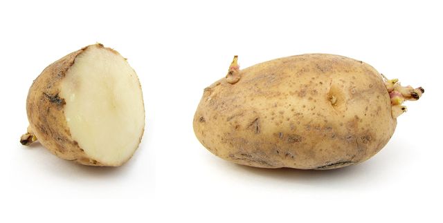 Cómo guardar las papas en invierno