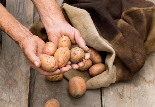 Cómo guardar las papas en invierno