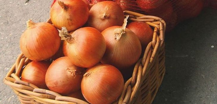 Almacenamiento de cebolla en casa en invierno
