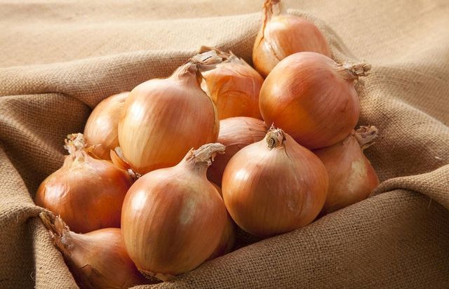 Almacenamiento de cebolla en casa en invierno