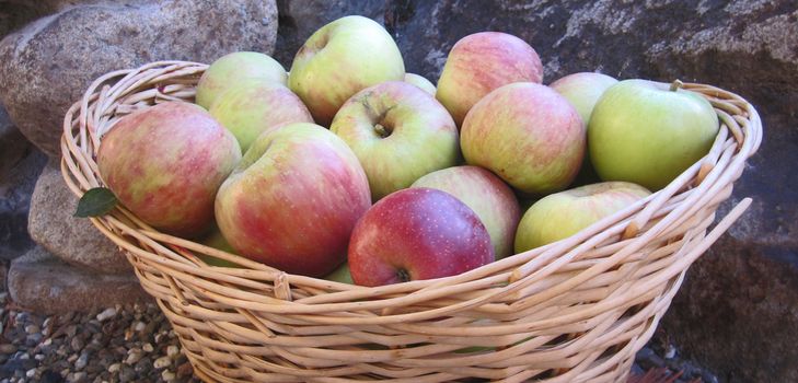 Cómo mantener las manzanas en invierno