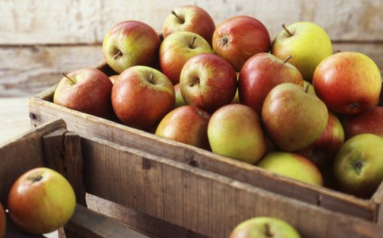 Cómo mantener las manzanas en invierno