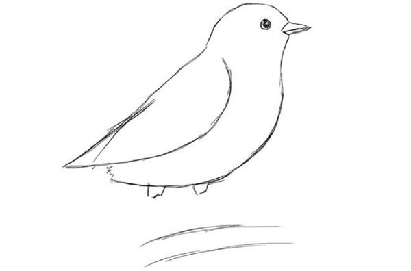 Cómo dibujar un pájaro en etapas con un lápiz