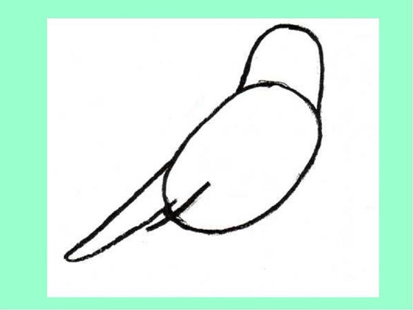 Cómo dibujar un pájaro en etapas con un lápiz