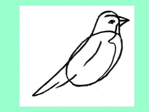 Cómo dibujar un pájaro en etapas con un lápiz