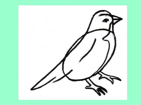 Cómo dibujar un pájaro en etapas con un lápiz