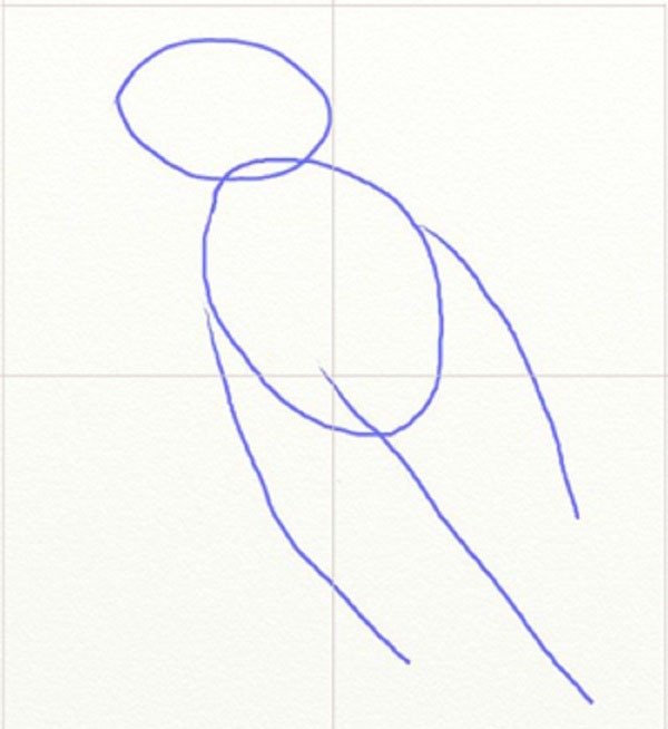 Cómo dibujar un pájaro en etapas con un lápiz
