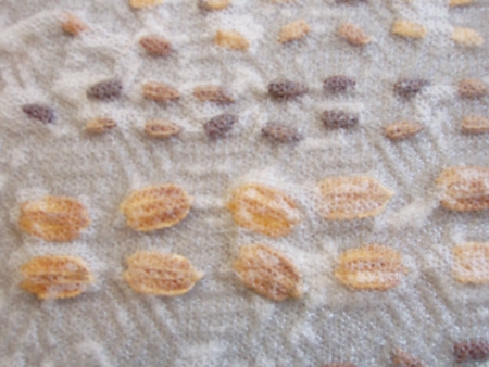 Cómo empapar apropiadamente las semillas antes de plantar Cómo empapar apropiadamente las semillas antes de plantar