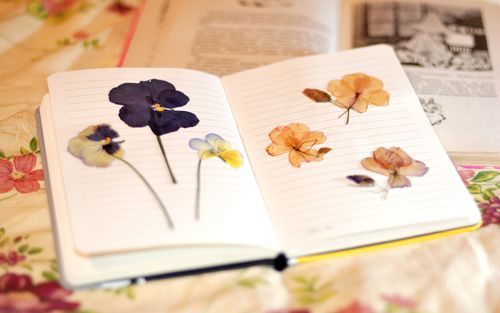 Cómo secar flores para un herbario