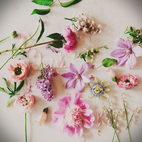 Cómo secar flores para un herbario