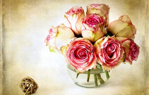 Cómo secar flores para un herbario