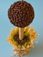 Cómo hacer un árbol de café