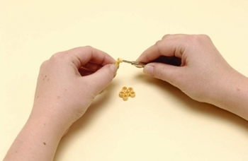 Quilling flores de papel para principiantes