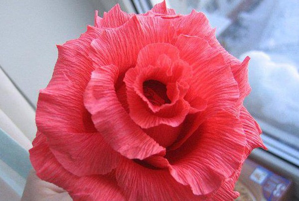Rosas hechas de papel corrugado Rosas hechas de papel corrugado