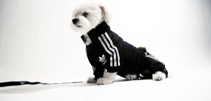 Fleece caliente en general para un perro