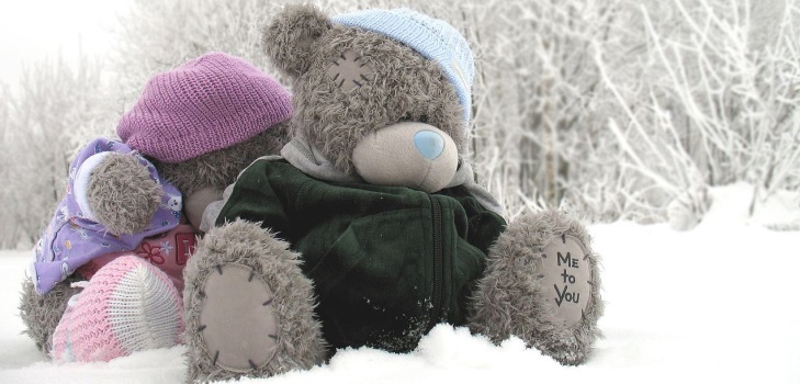 Juguete Teddy Bear