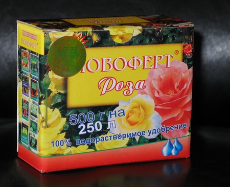 Cómo fertilizar rosas: consejos prácticos