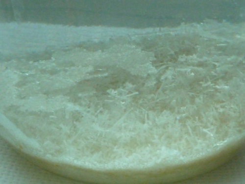Cristal de sal en casa