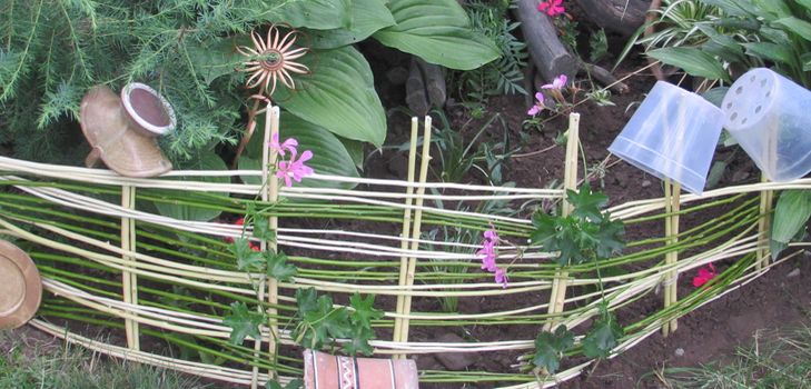 Cama de flores de la vid con sus propias manos