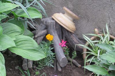 Cama de flores de la vid con sus propias manos
