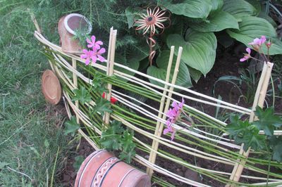 Cama de flores de la vid con sus propias manos