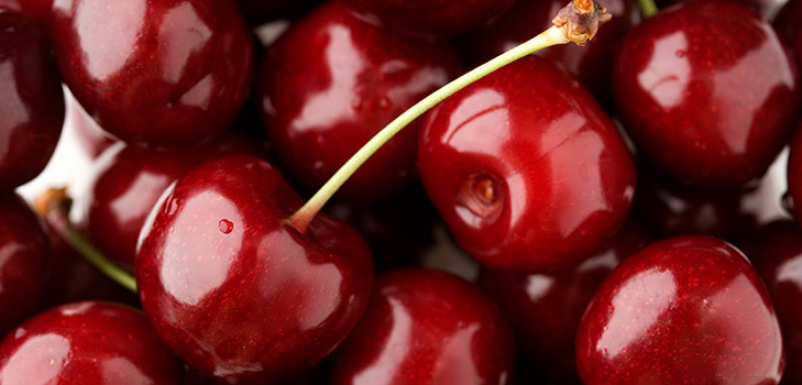 Las mejores variedades de cereza - descripción con foto