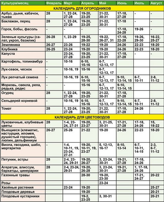 Calendario lunar del jardinero hortícola en agosto de 2015