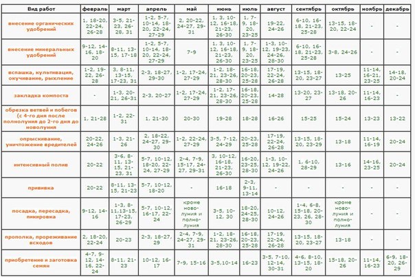 Calendario lunar del jardinero hortícola en agosto de 2015